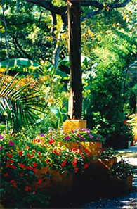 Art Landscaping Austin Texas Rob Roy SOCO